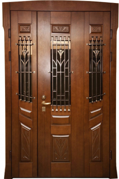 Парадная дверь №206